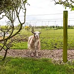 Villa The At Greenbank Farm Esprick