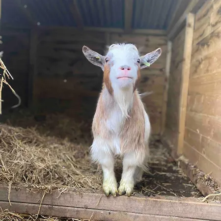 The At Greenbank Farm *