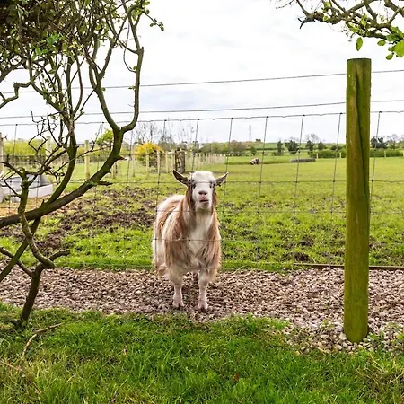 빌라 The At Greenbank Farm Esprick