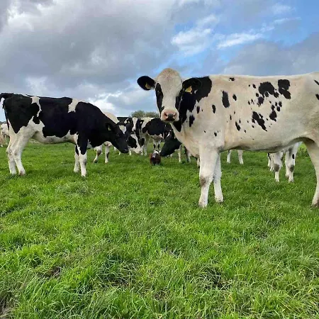 빌라 The At Greenbank Farm Esprick