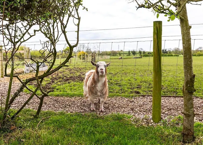 Willa The At Greenbank Farm Esprick
